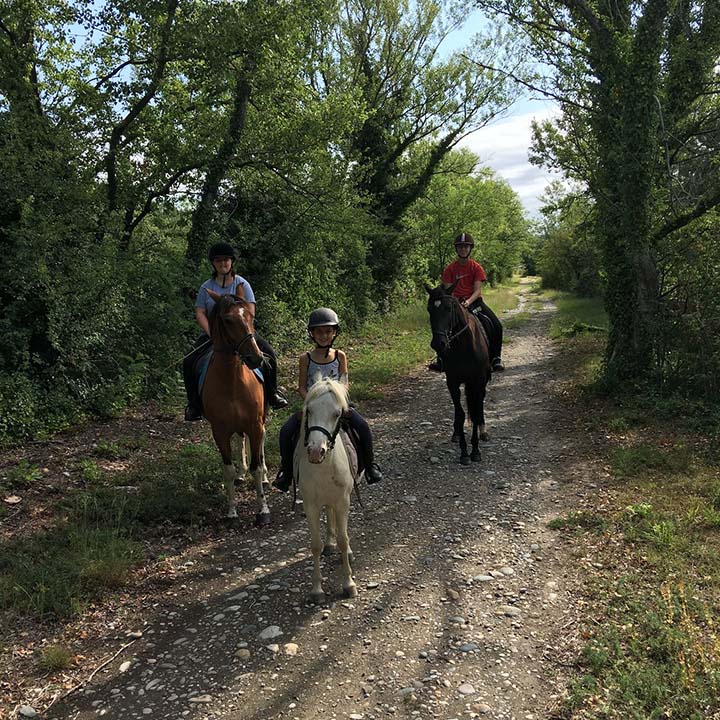 Balade à poney et cheval enfant et adulte