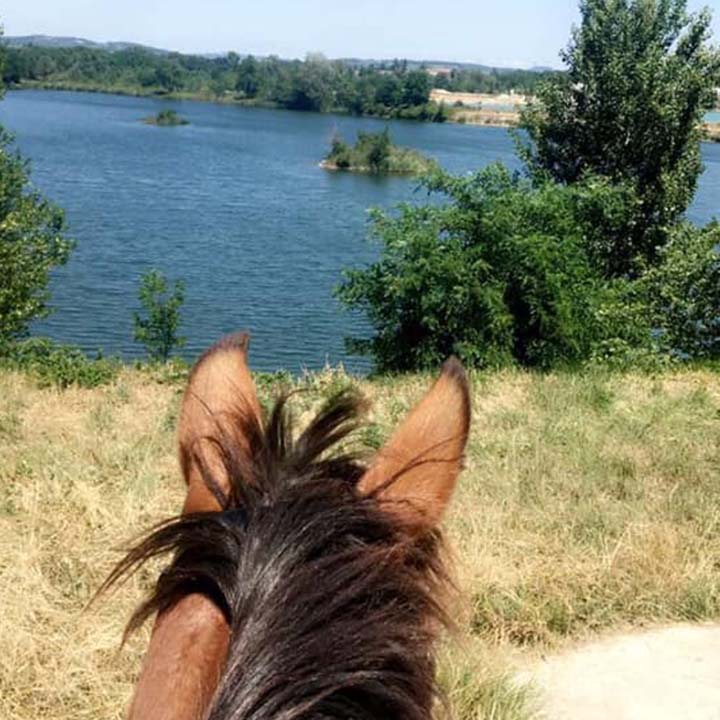 Balade à cheval vue sur le lac