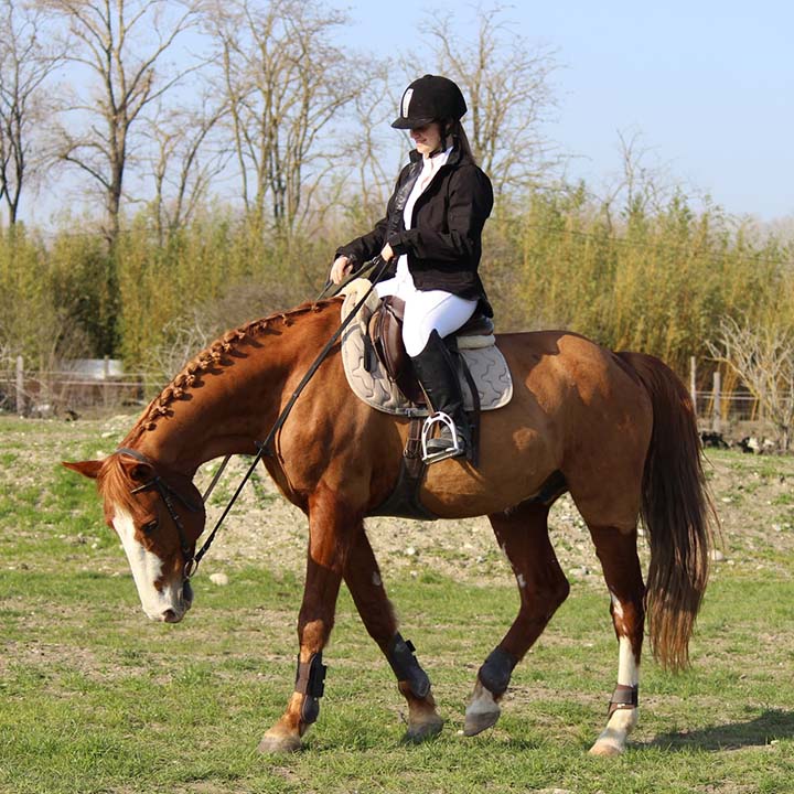 Un cavalière sur son cheval avant un concours