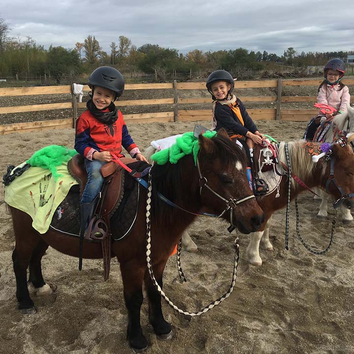 Stages poney enfant vacances scolaires