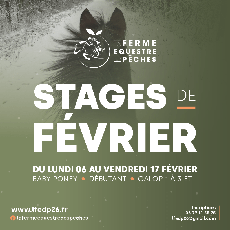 Stages de Février