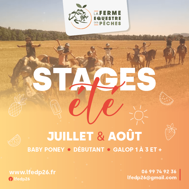 Stages été
