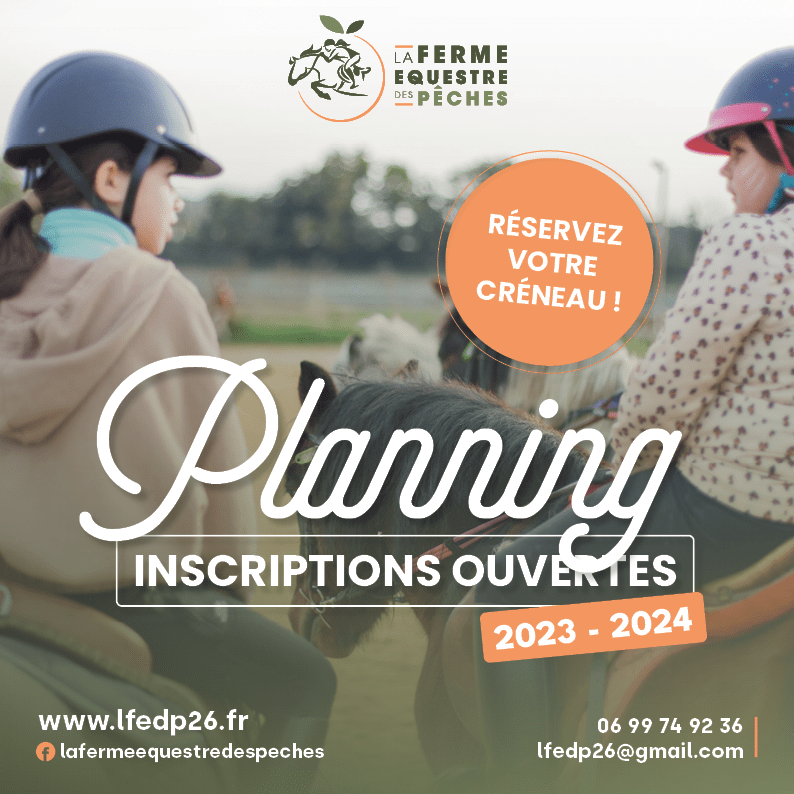 Planning 2023 –&nbsp;2024