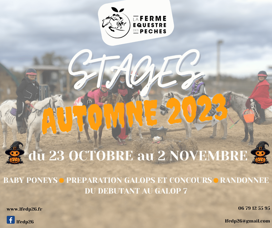 Stages Automne 2023