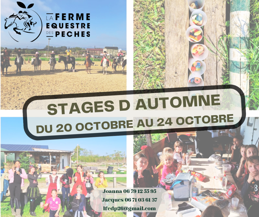 Stage d&rsquo;Automne